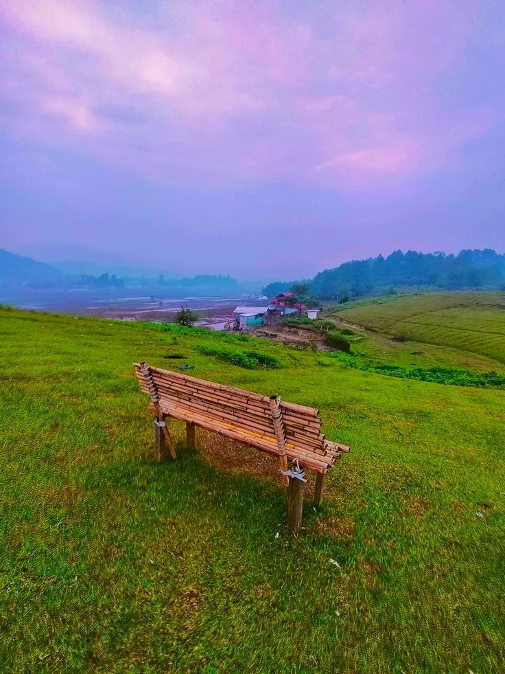 Ziro Valley pine landscape in Arunachal Pradesh